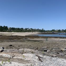 Cedar beach - View towards the beach area from the island