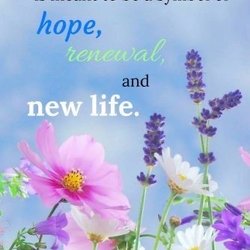 Love Fellowship Tabernacle