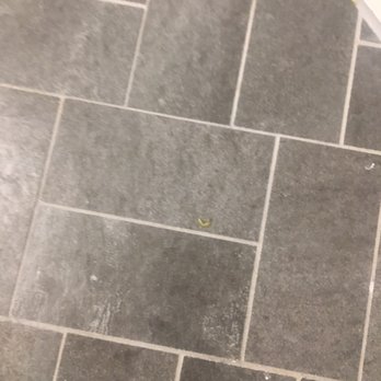 The Westin Pasadena - Toe nails, so gross, and no sorry no upgrade just 3 rooms changed. I asked for nothing but shocked at the service and filth - Hotels Near Me - Pasadena, California The Westin Pasadena - Toe nails, so gross, and no sorry no upgrade just 3 rooms changed. I asked for nothing but shocked at the service and filth - Hotels Near Me - Pasadena, California