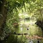 Photo of Jardin Botanique