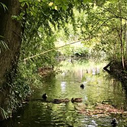 Jardin Botanique