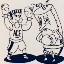 Ace Plumbing and Rooter