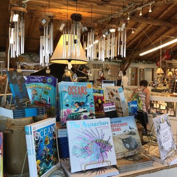 Sea Shell City - Tons of books, for kids and adults alike - Souvenir Shops Near Me - Cheboygan, Michigan Sea Shell City - Tons of books, for kids and adults alike - Souvenir Shops Near Me - Cheboygan, Michigan