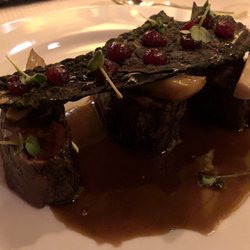 De Fem Stuer - Poor pic. Amazing meal. Reindeer, it's what's for dinner.