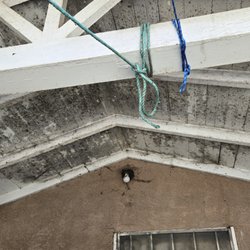 Singularity Pressure Washing