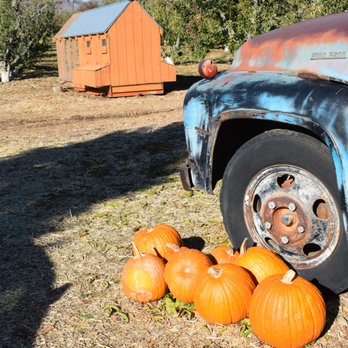 Bloom Ranch Of Acton - Farms Near Me - Acton, California