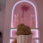 Photo of Palmas Ice Cream