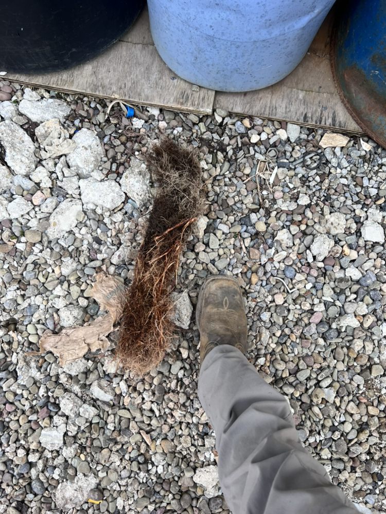 Slide of Jones Plumbing