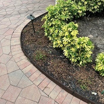 Bella Lawn Maintenance - Total destruction of over $500 worth of plantings. No response from owner other than, "it is hard to control weeds with all this rain? - Landscape Architects or Designers Near Me - Naples, Florida