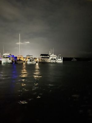 Mangrove Marina by null