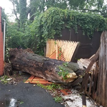 Skyline Tree Services - Tree Services Near Me Skyline Tree Services - Tree Services Near Me