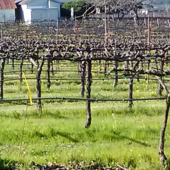 Elite Limousine Service - Napa winery that elite limo took us to - Limos Near Me