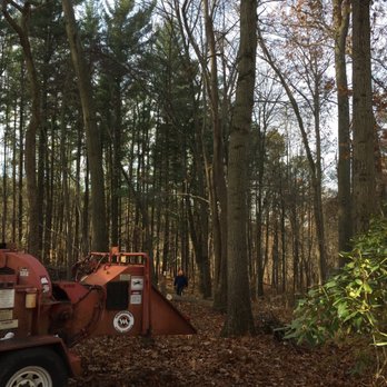 Dunn & Sons Tree Service - Professional service - Tree Services Near Me - Burtonsville, Maryland Dunn & Sons Tree Service - Professional service - Tree Services Near Me - Burtonsville, Maryland