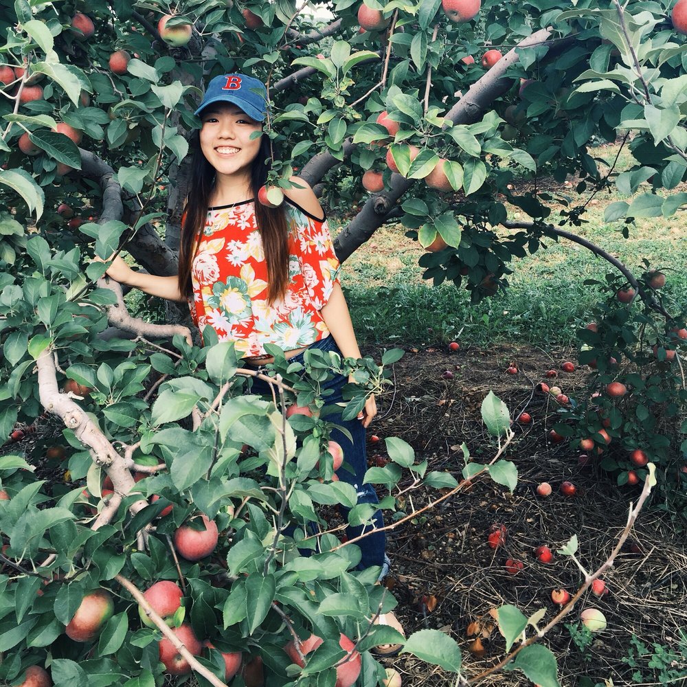 Barton Orchards - Forgot to post this . Awesome amount of ripe apples. - Farmers Market Near Me - Poughquag, New York