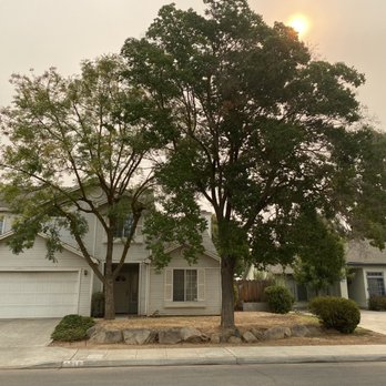 Travis Tree Service - After: Limbs trimmed back and cleared away from the house. - Tree Services Near Me - Fresno, California Travis Tree Service - After: Limbs trimmed back and cleared away from the house. - Tree Services Near Me - Fresno, California