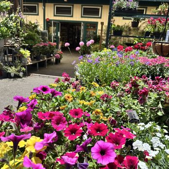 Sloat Garden Center - Nurseries & Gardening Near Me - Novato, California Sloat Garden Center - Nurseries & Gardening Near Me - Novato, California
