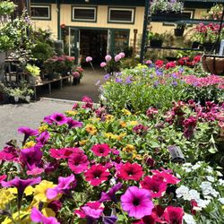 Sloat Garden Center