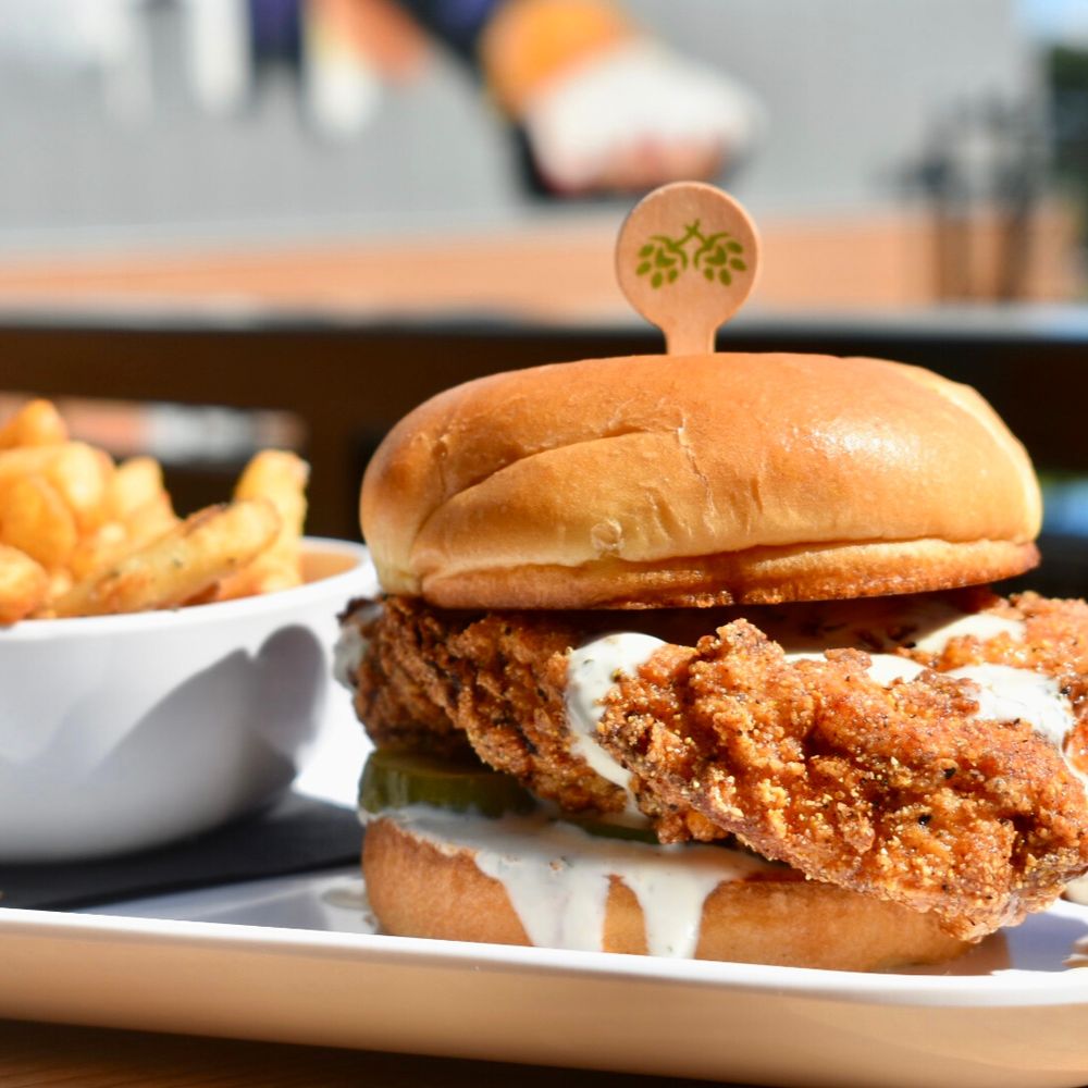 Paws & Pints - wedding in Des Moines, IA