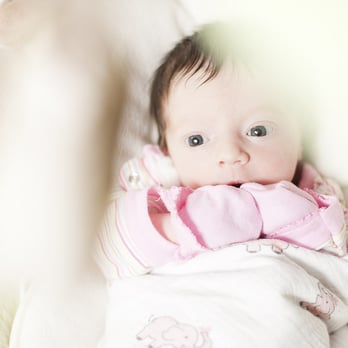 Shauna Autry Photography - austin newborn baby photography - Session Photography Near Me Shauna Autry Photography - austin newborn baby photography - Session Photography Near Me