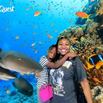 SeaQuest - Folsom - Aquariums Near Me - Folsom, California SeaQuest - Folsom - Aquariums Near Me - Folsom, California