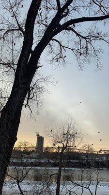 Aki's BreadHaus & WunderBar by null