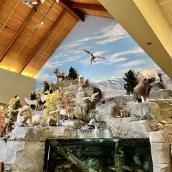Cabela's - Main display