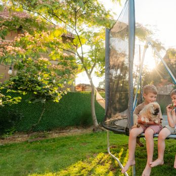 Mosquito Squad of Bangor-Auburn - Pest Control Near Me - Glenburn, Maine