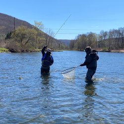 West Branch Angler & Resort