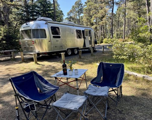 Salt Point State Park by null