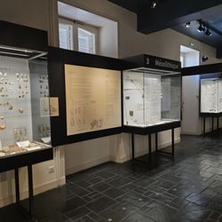 Musée de la Préhistoire de Carnac