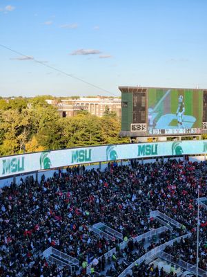 Michigan State University by null