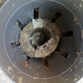 Venez Pest Control - Termites bait station - Pest Control Near Me Venez Pest Control - Termites bait station - Pest Control Near Me