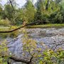 Photo of Battle Creek Wildlife Area