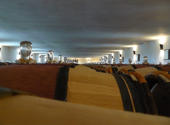 Château Mouton Rothschild by null