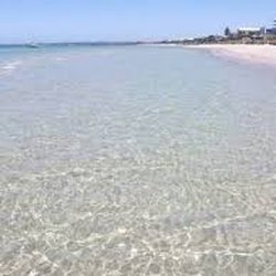 Edithvale Community Centre - The have a beach next to it