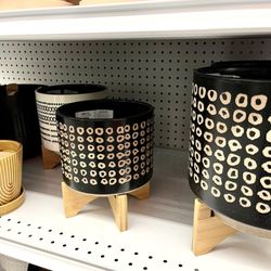 Big Lots - Putting Down Roots