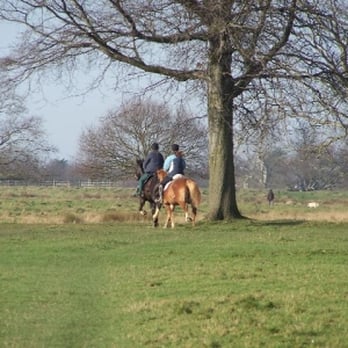 Richmond Park - Parks Near Me - Richmond, XGL