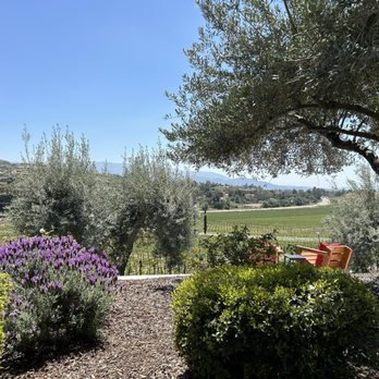 Grapeline Wine Tours - Wine Tours Near Me - Temecula, California