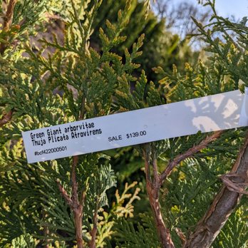 Escazu Nursery - Nurseries & Gardening Near Me - Lake Zurich, Illinois