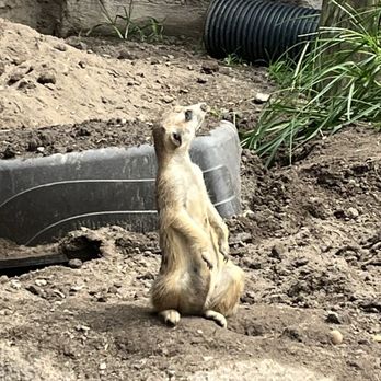 Virginia Zoo - Zoos Near Me - Norfolk, Virginia