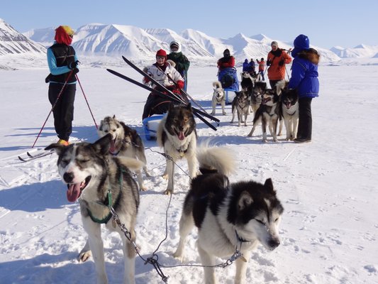 Wintergreen Northern Wear by null