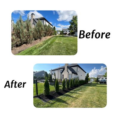 Landscaping / Softscaping - Landscaping / Softscaping Jobs