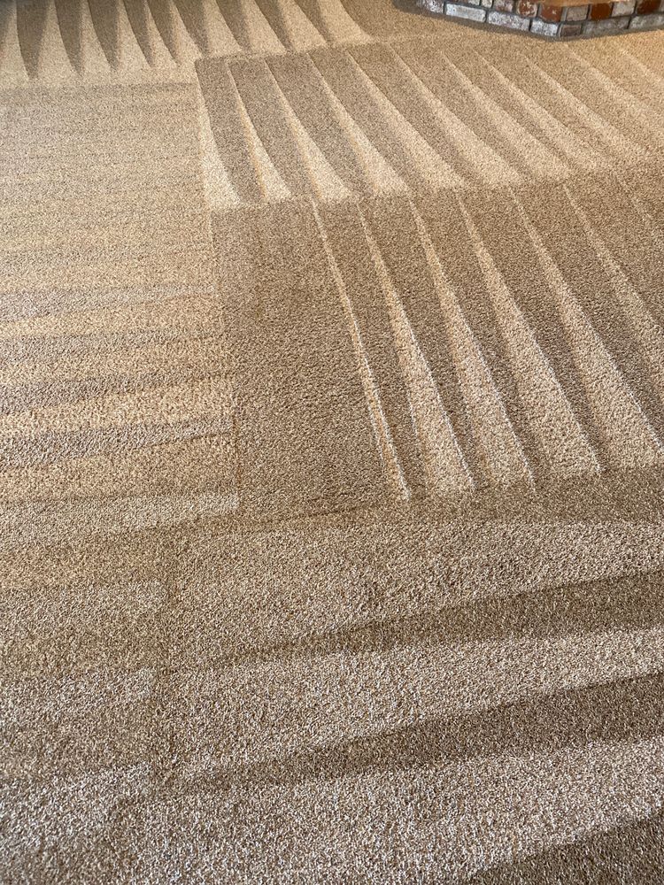 RAY’S CARPET CLEANING & REPAIR Updated October 2024 Chico, California Carpet Cleaning