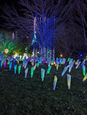 The North Carolina Arboretum by null