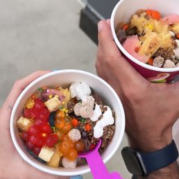 Chocolate Frozen Yogurt Chocolate Frozen Yogurt