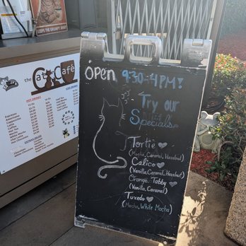 The Cat Cafe - Specials sign - Coffee & Tea Near Me - San Diego, California The Cat Cafe - Specials sign - Coffee & Tea Near Me - San Diego, California