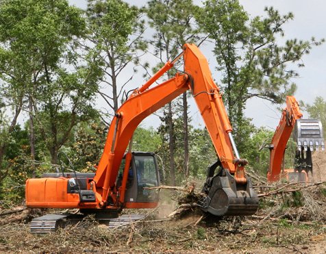 Vondersaar's Tree Service - tree service in Avon, IN