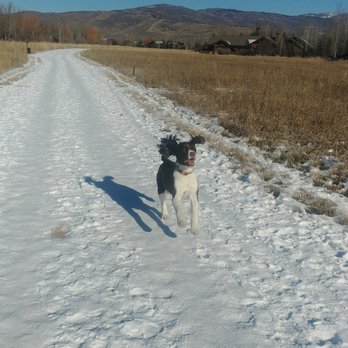 Walk With Us - Willow Park Adventure - Pet Sitting Near Me Walk With Us - Willow Park Adventure - Pet Sitting Near Me