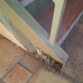 Days Inn by Wyndham Delta - Mouse nest? - Hotels Near Me - Delta, Colorado