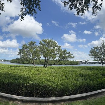 The Dunedin Youth Guild Park - View from my yoga mat! - Parks Near Me - Dunedin, Florida The Dunedin Youth Guild Park - View from my yoga mat! - Parks Near Me - Dunedin, Florida